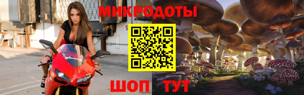Галлюциногенные грибы Psilocybe Мичуринск